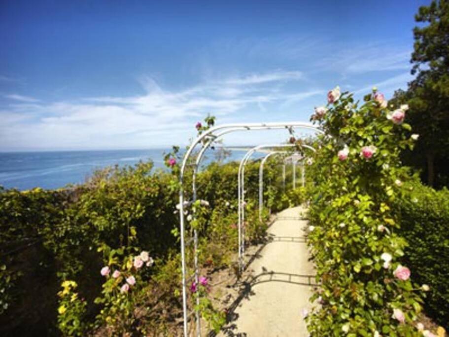 Studio De La Mer A Donville Les Bains Екстериор снимка
